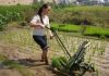 Heavy Duty 2 Rows Manual Rice Transplanter