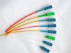 Patch    cord