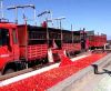 tomato processing equi...