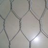 Gabion Box, Gabion Bas...