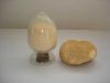 Hericium Erinaceus Powder