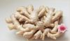 Competitive price fresh fat ginger with super quality