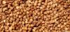 Roasted buckwheat kernel