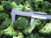 IQF Broccoli Florets