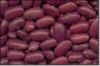 RED KIDNEY BEANS