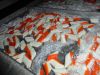 surimi crab meat