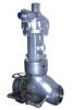 Globe Valve