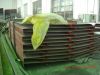 ESP (Electrostatic Precipitator)