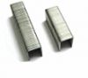 Collated Fasteners (Co...