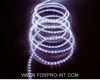 LED Rope Light