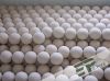 ceramic inert balls