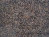 baltic brown