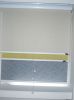 Spring Roller blinds