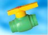 PPR Valve