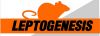 LEPTOSPIRA TEST