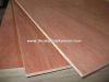 KERUING PLYWOOD