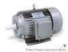 Y Electric Motors