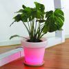 LED Flower Pot