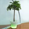 LED Flower Pot