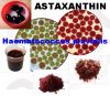 Haematococcus Pluviali...