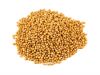 Top Grade Yellow Mustard Seeds