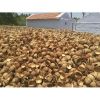 Wholesale Best Quality Raw Coconut Shell and Palm Kernel Shell Material Agriculture Waste