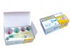 Vacuum Cupping Set
