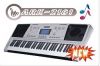 Electronic Organ ((ARK...