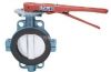 Modified PTFE Lining Butterfly Valve