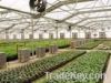 Polycarbonate sheet, a...