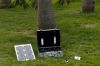 Solar Portable DC Ligh...