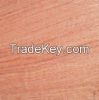 African Rosewood flooring