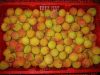 fresh lychee, lychee, ...