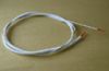 Endoscopy Brush