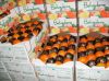 MANDARINS CLEMENTINA -...