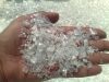 Pet Flakes