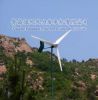 wind driven generator ...