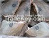 Frozen John Dory Fillet