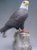 Bald Eagle/wood carving