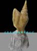 emulational shell scul...
