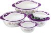 PAVONIA 4 Pcs.Insulated thermo food bowl set