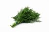 Dill ( Fresh dill )