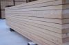 larch siberian boards