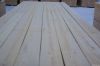 larch siberian boards