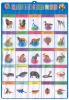 3D Embossed PVC Chart/...