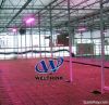 LED grow light 90W, 100W, 150W, 200W, 300W