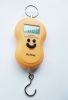 electronic hanging scale