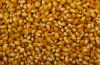 Pop Corn
