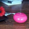 2013 Apple Shape Ultra...