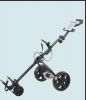 Sports Electric Golf T...